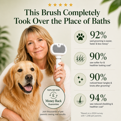 Gentle Steam Grooming Brush